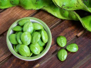 Pete: Obat Herbal Alami yang Kaya Manfaat untuk Kesehatan